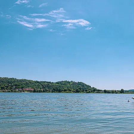 Rose 2* דורמלטו