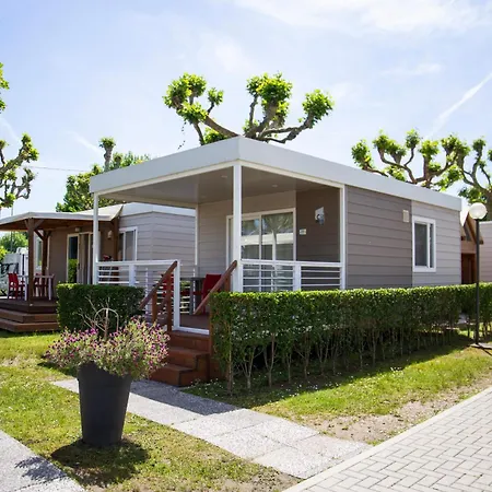 营地 玫瑰度假营 多米勒托