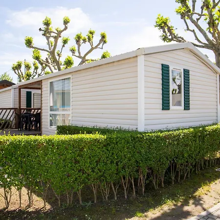 Rose אתר קמפינג