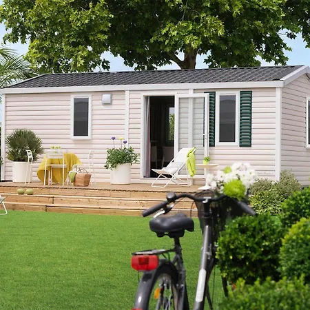 Rose 2* דורמלטו