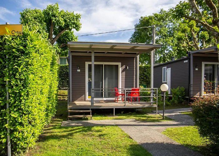 玫瑰度假营 2* 多米勒托