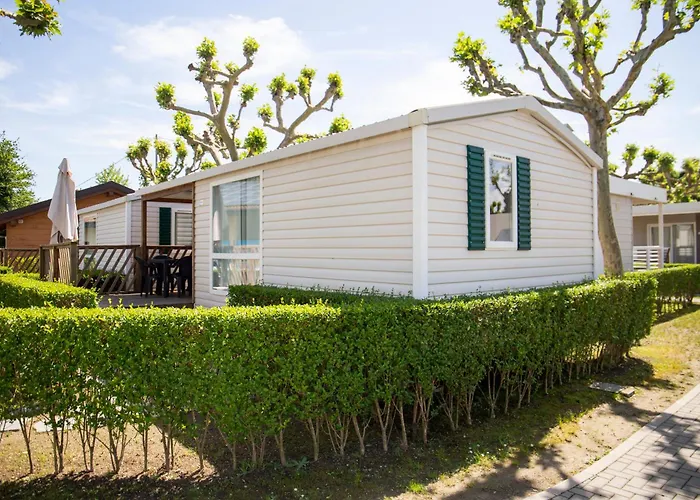 Rose Parque de Campismo